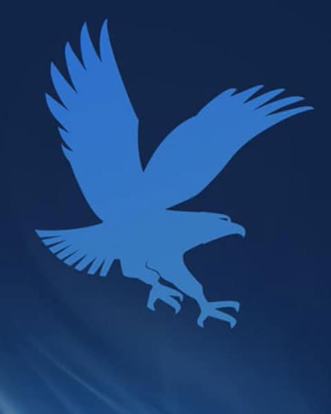 Blue Eagle Logo